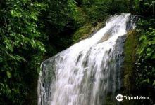 Tanah Merah Waterfall景点图片