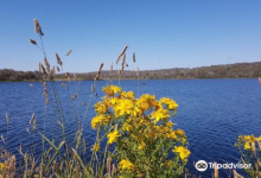 科修斯科山景点图片
