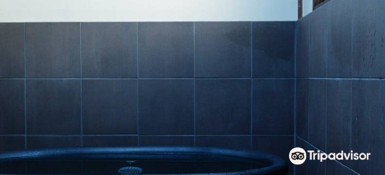 日乃出旅馆(Hinode Ryokan)图片