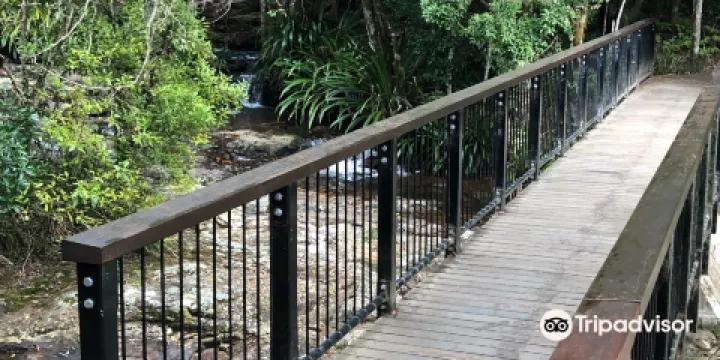 Illaweena Picnic Area