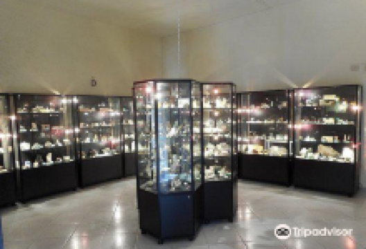 Museo Civico di Storia Naturale景点图片