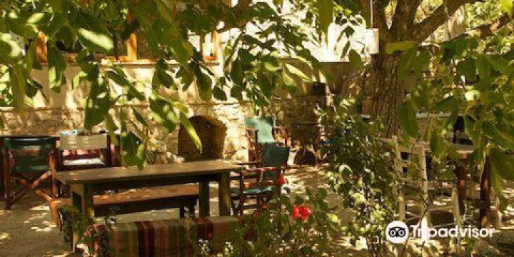 Ampelostrates Horese Vineyard