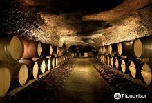 Marc Bredif Vouvray - Wine Cave景点图片