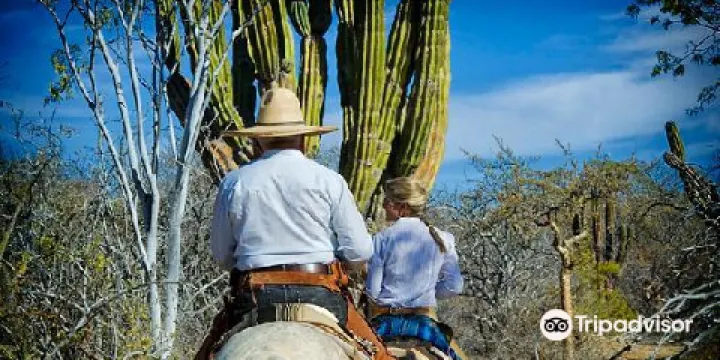 Cuadra San Francisco