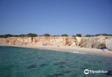 Cedar Forest of Alyko-纳克索斯