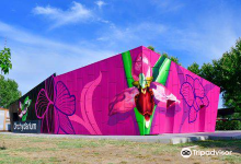Centro de Interpretacion de la Orquidea Orchydarium景点图片
