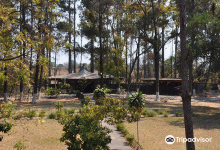 Dag Hammarskjoeld Memorial景点图片