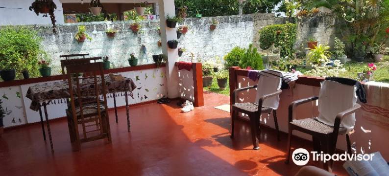 因努加旅馆(Inuja Guest)图片