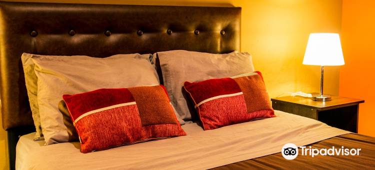 Wild Rover Arequipa图片