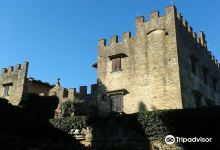 Villa Castello Del Cotone景点图片