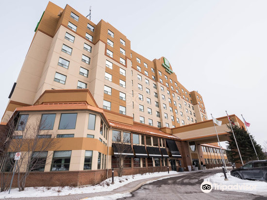 Holiday Inn & Suites 渥太华卡娜塔