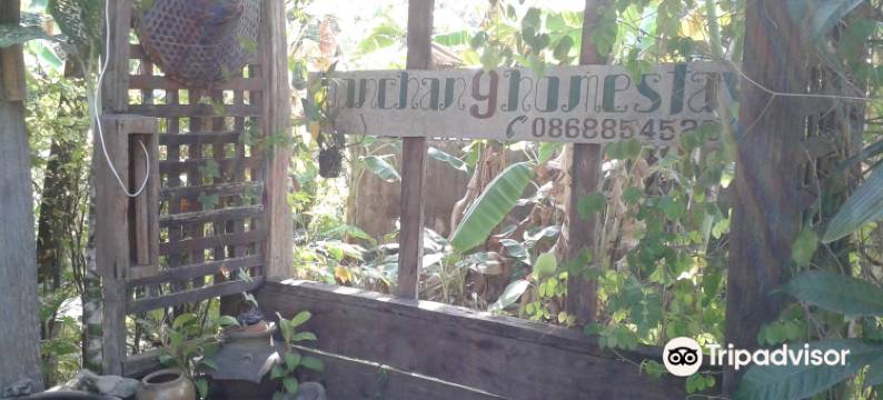 我家9 民宿(Banchan 9 Homestay)图片