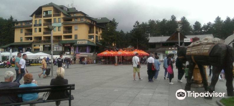 康纳克兹拉蒂博尔斯基公寓(Zlatiborski Konak)图片