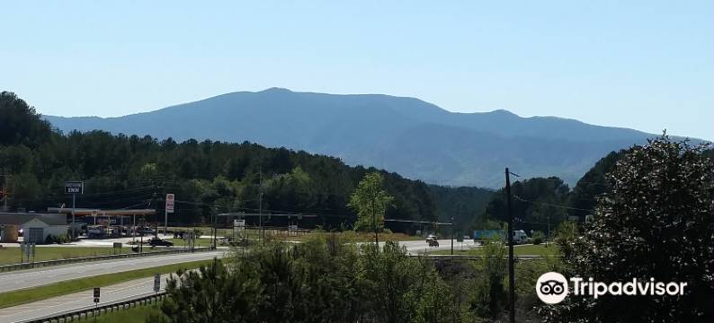 墨菲/蓝岭山脊达克敦紫铜旅馆(Ducktown Copper Inn)图片