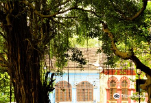 Campal区景点图片