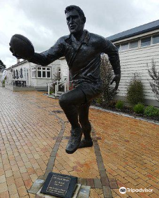 Sir Colin Meads Statue-特库伊特