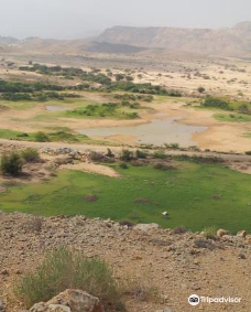 Al Ansab Wetland-马斯喀特
