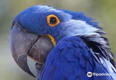 Florida Exotic Bird Sanctuary Inc.-帕斯科县