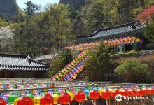 金乌山道立公园景点图片