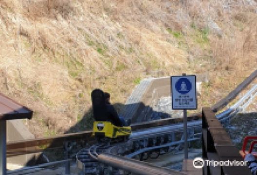 High1 Resort Alpine Coaster景点图片