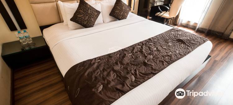 孟买金翅雀酒店(Goldfinch Hotel Mumbai)图片