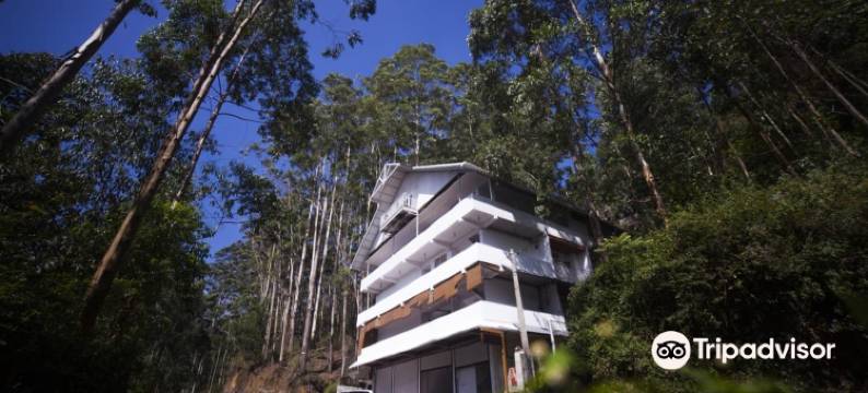 目娜马萨公寓(Matha Residency Munnar)图片