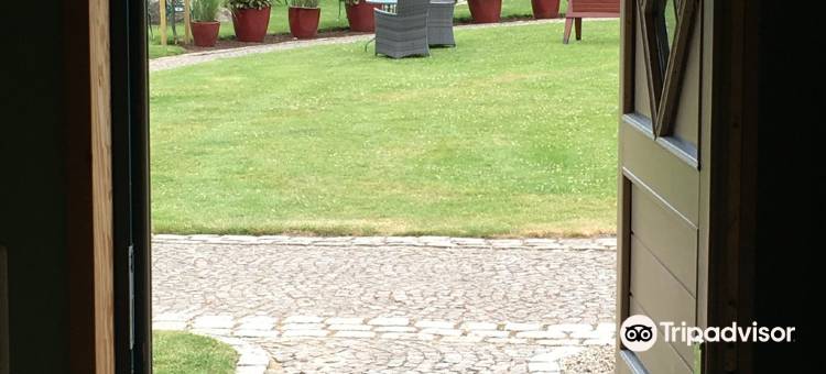 费瑞拉格马戈瑞腾霍夫酒店(Ferienanlage Margaretenhof)图片