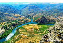 Miradouro de Penedo Durão景点图片