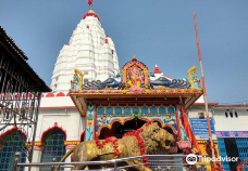 Samaleswari Temple-桑巴尔布尔