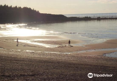 Sandy Cove Beach-迪格比