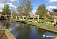 University of Leicester Botanic Garden景点图片