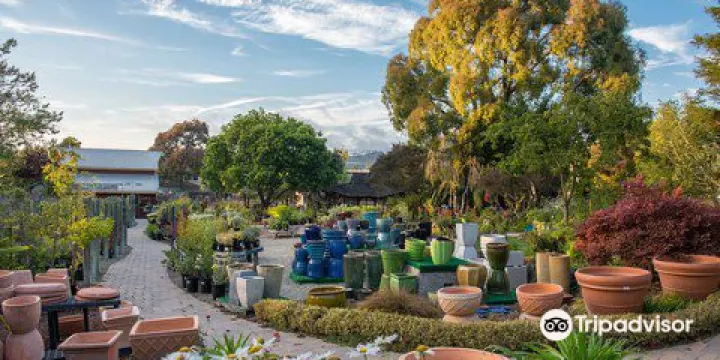 Cambria Nursery and Florist