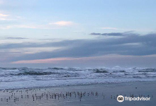 North Jetty Brewing景点图片