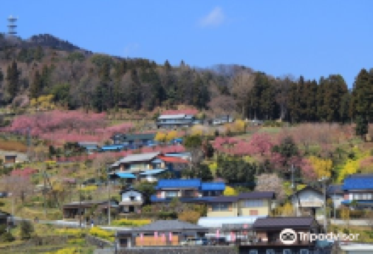 Ouchizawa Hanamomonosato景点图片