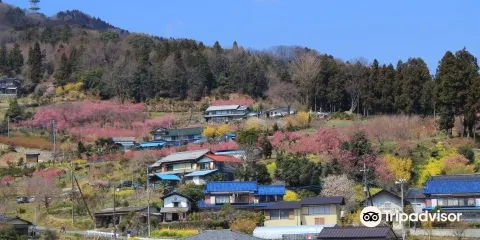 Ouchizawa Hanamomonosato