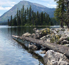 Lake Wenatchee State Park-奇兰县