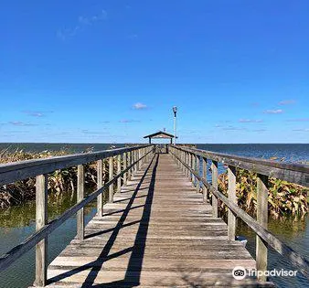 Lake Apopka