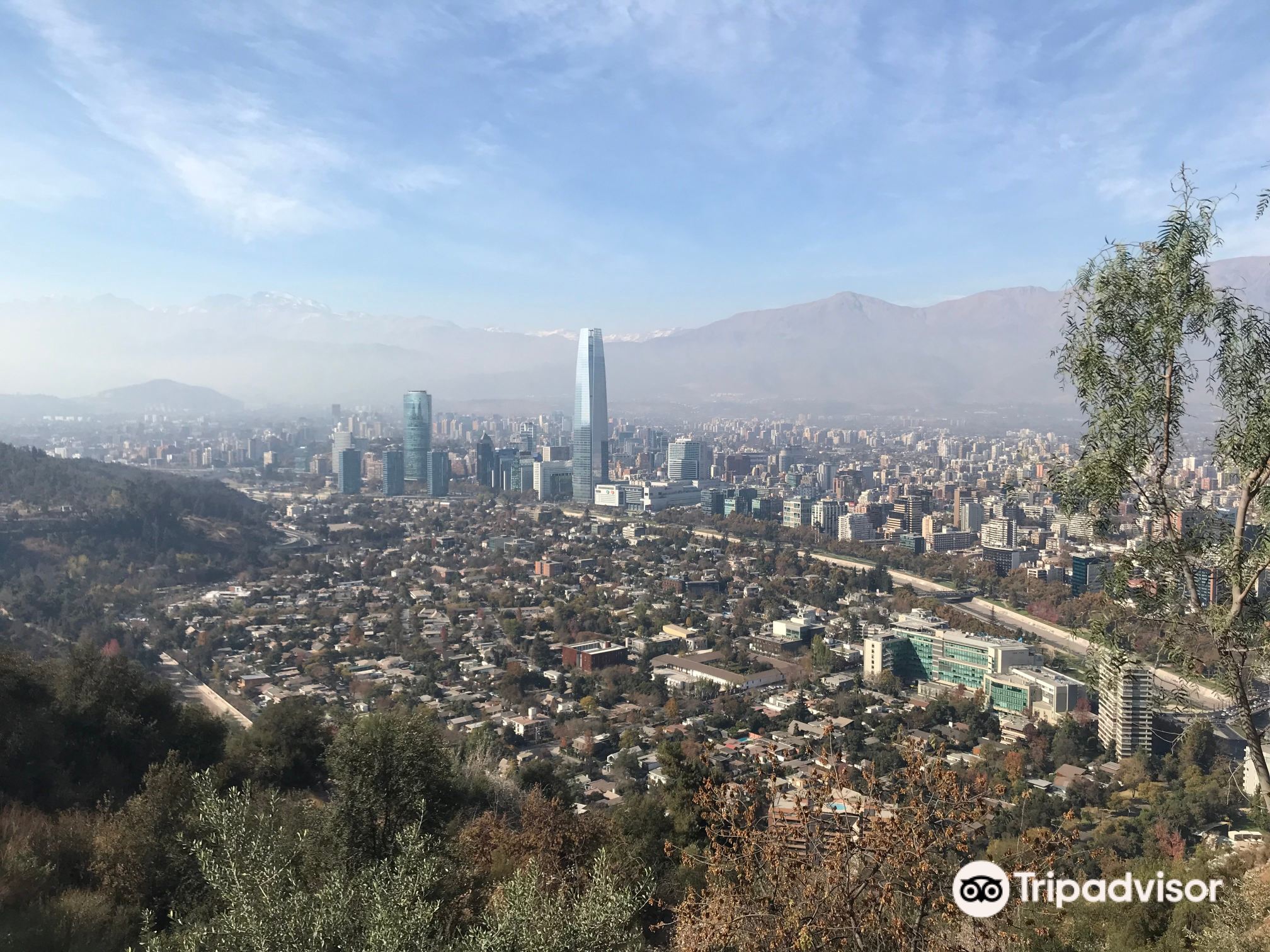 Tino's Bar餐厅图片