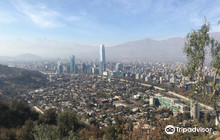 Tino's Bar餐厅图片