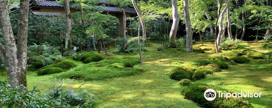 野洲市旅游攻略 4月野洲市 Yasu 自助游 周边自驾 出游 自由行 游玩攻略 携程攻略