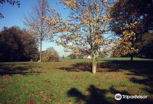 圣吉尔斯山景点图片