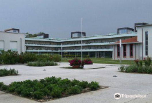 Eliopoli购物图片