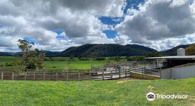 Pub in the Paddock餐厅图片