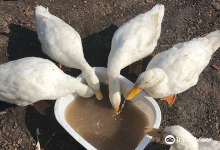 Toko MAINAN DUA SODARA购物图片
