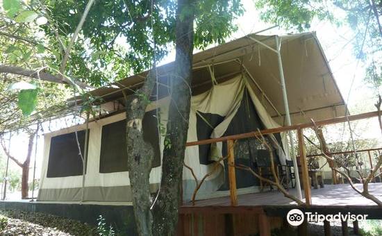 奥卢马拉帐篷营地酒店(Olumara Tented Camp)图片