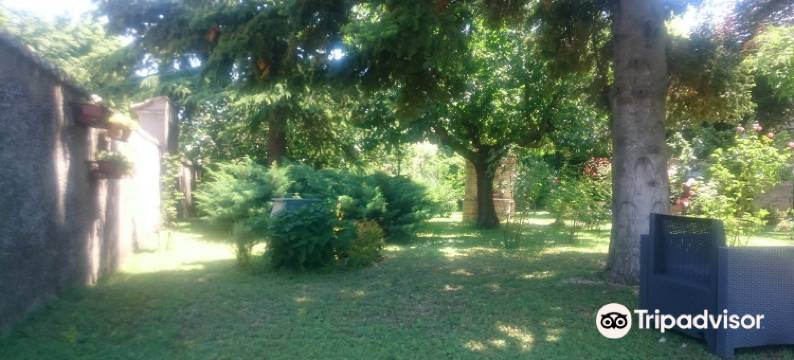 唐奥雷利奥住宿加早餐旅馆(B&B Don Aurelio)图片