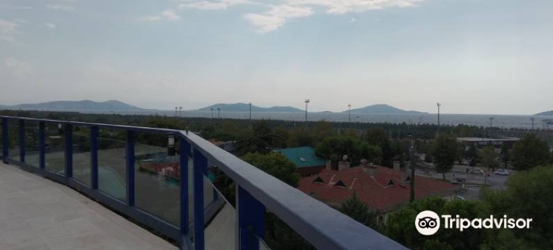 库库恰利精英酒店(Elite Hotel Kucukyalı)图片