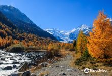 莫特拉奇冰川景点图片