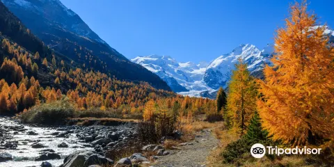 莫爾特拉齊冰川
