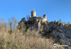 Neu-Falkenstein Castle-巴尔斯塔尔